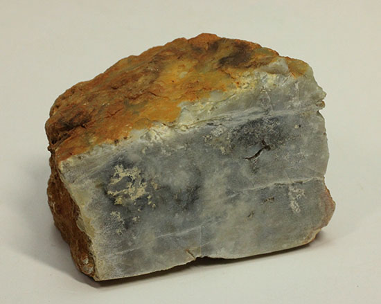 断面が見える、ジュラ紀の恐竜ウンチ化石(Coprolite)（その2）