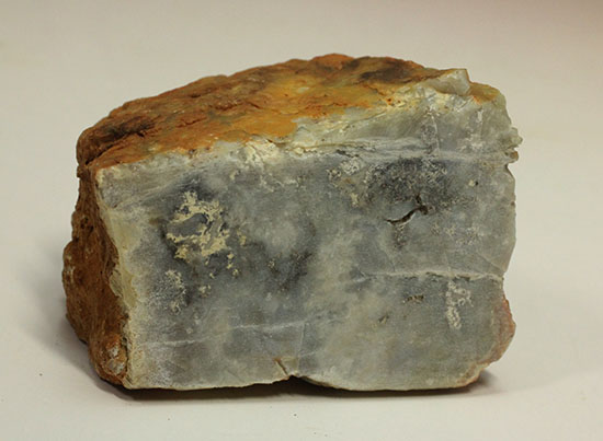 断面が見える、ジュラ紀の恐竜ウンチ化石(Coprolite)（その8）