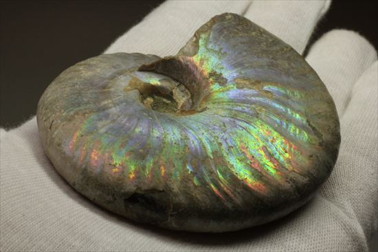 幻想的な味わい、美しいイリデッセンス(iridescence)を有する 幻想的な味わい、美しいイリデッセンス(iridescence)を有する