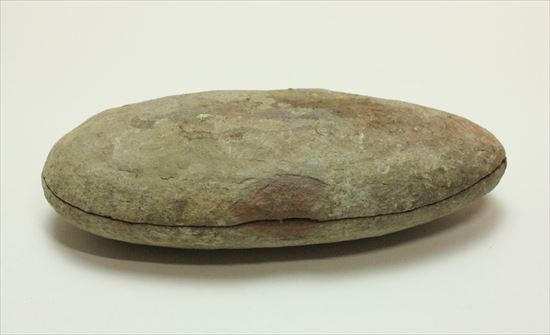 マッドボール型、石炭を原料となるはずだった古代のシダ植物化石（ノジュール標本）（その2）