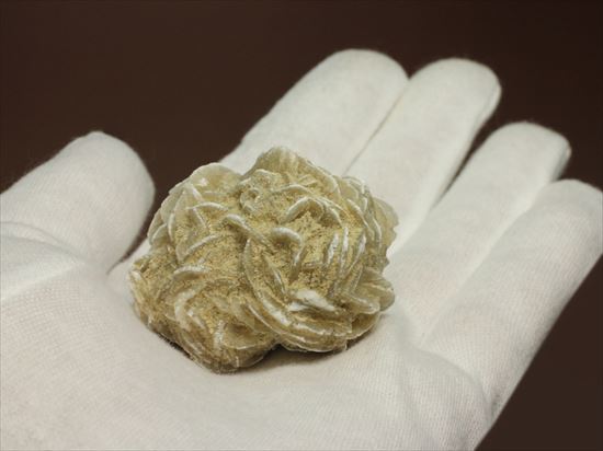 サハラ砂漠が生み出した芸術!砂漠のバラ(Desert Rose)(その4)