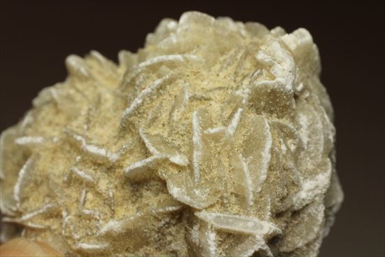サハラ砂漠が生み出した芸術!砂漠のバラ(Desert Rose)(その6)