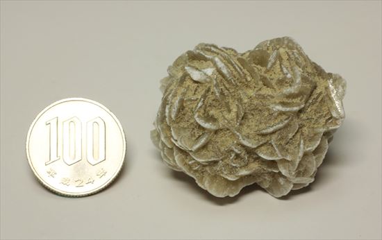 サハラ砂漠が生み出した芸術!砂漠のバラ(Desert Rose)(その7)