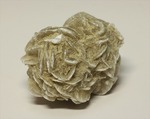 サハラ砂漠が生み出した芸術！砂漠のバラ(Desert Rose)