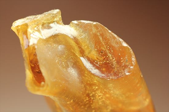 ゴキブリ?からクモまで、多種多様な虫を内包する超ロングサイズのコーパル(その14)