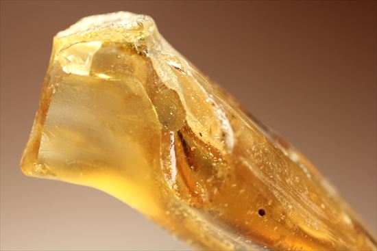 ゴキブリ?からクモまで、多種多様な虫を内包する超ロングサイズのコーパル(その15)