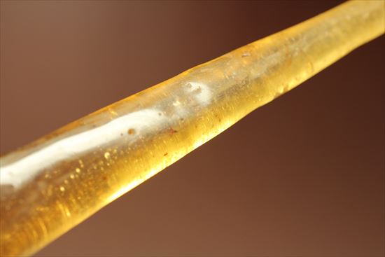 ゴキブリ?からクモまで、多種多様な虫を内包する超ロングサイズのコーパル(その16)