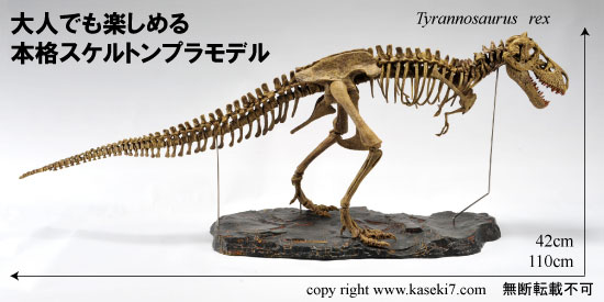 ティラノサウルス本格スケルトンプラモデル（その1）