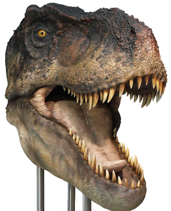 ジュラシックパークの感動がよみがえる!t-rexのフィギュア(その2)