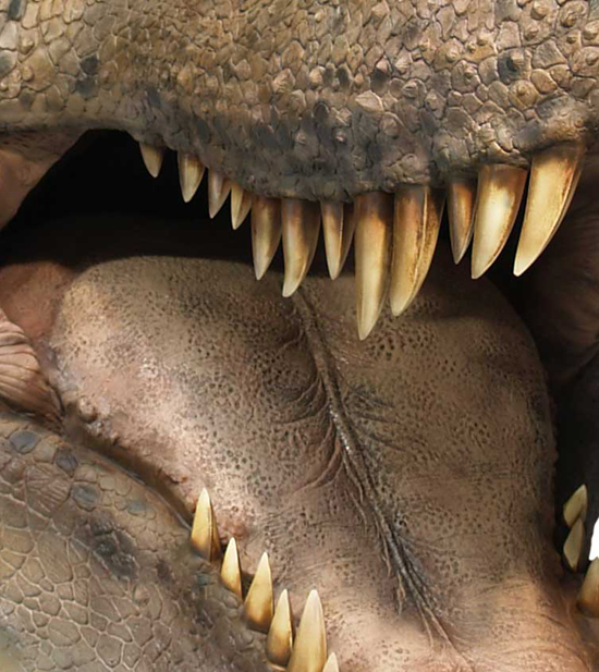 ジュラシックパークの感動がよみがえる!t-rexのフィギュア(その3)