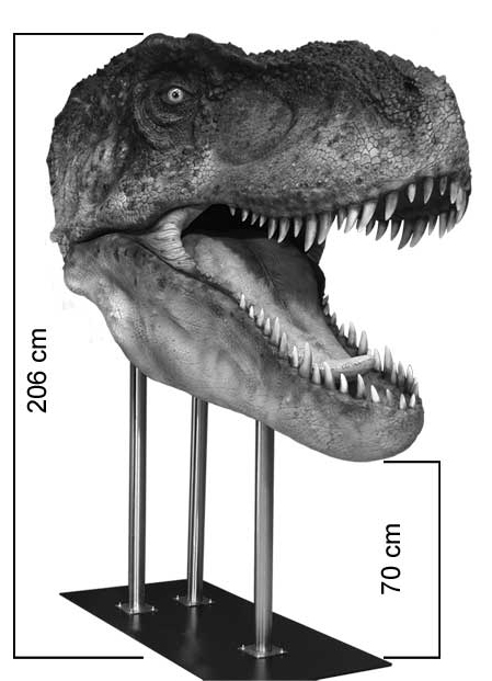 ジュラシックパークの感動がよみがえる！t-rexのフィギュア（その6）