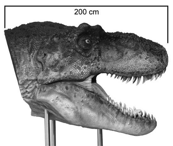 ジュラシックパークの感動がよみがえる!t-rexのフィギュア(その7)