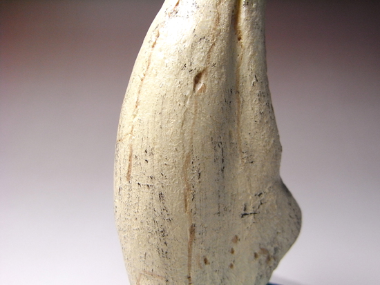 2002年に発見された本物化石を正確に象ったコレクションアイテム、通称アジアン・t-rex:タルボサウルスの後肢の爪のレプリカ (その9)