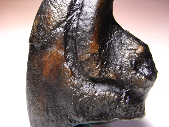 ジュラ紀の地上最強：アロサウルスの巨大かぎ爪のレプリカ （その5）