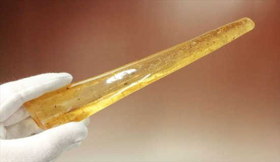 100万年前の樹液が虫を絡め取りつつ化石になりました（虫入りコーパル