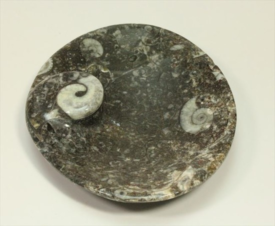 生活に化石を取り入れませんか。ゴニアタイトアンモナイトの小物入れ(goniatite)（その2）