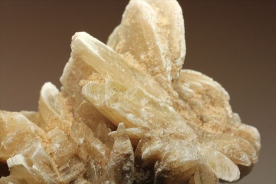 偉大なる自然が生み出した芸術品!砂漠のバラ(Desert Rose)(その10)