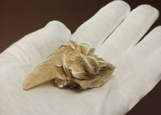 偉大なる自然が生み出した芸術品!砂漠のバラ(Desert Rose)(その11)