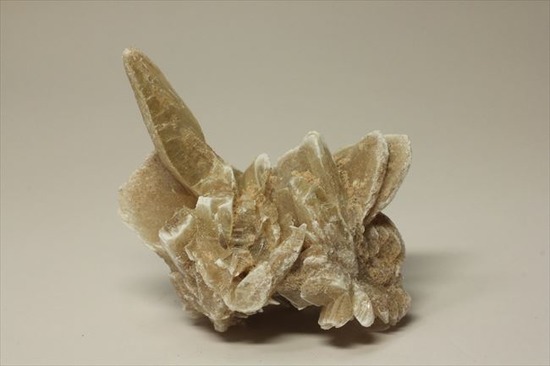 偉大なる自然が生み出した芸術品!砂漠のバラ(Desert Rose)(その5)