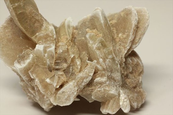 偉大なる自然が生み出した芸術品!砂漠のバラ(Desert Rose)(その7)