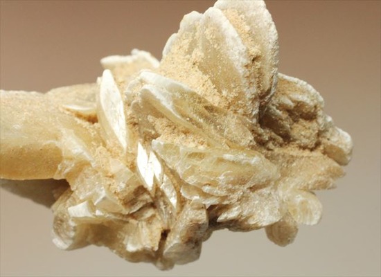 偉大なる自然が生み出した芸術品!砂漠のバラ(Desert Rose)(その8)