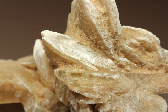 偉大なる自然が生み出した芸術品!砂漠のバラ(Desert Rose)(その9)
