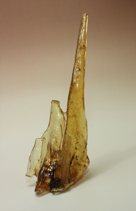 古代のカゲロウを内包した虫入りコーパル(Copal)(その1)