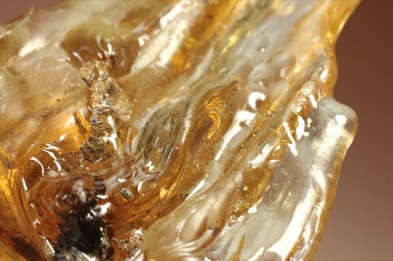 古代のカゲロウを内包した虫入りコーパル(Copal)(その10)