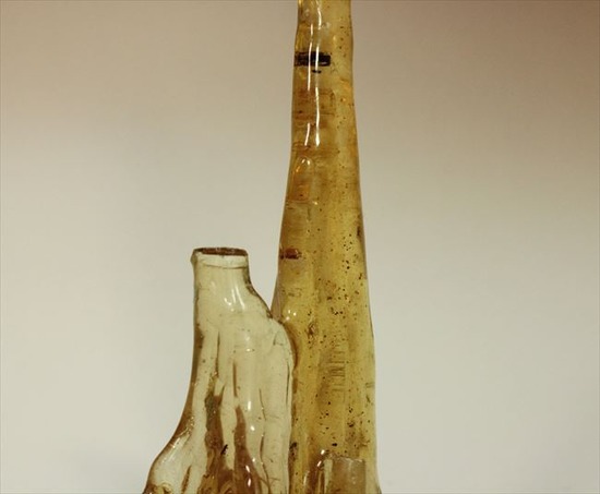 古代のカゲロウを内包した虫入りコーパル(Copal)(その3)