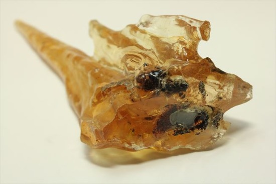 古代のカゲロウを内包した虫入りコーパル(Copal)(その6)