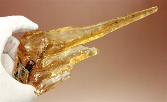 古代のカゲロウを内包した虫入りコーパル(Copal)(その9)
