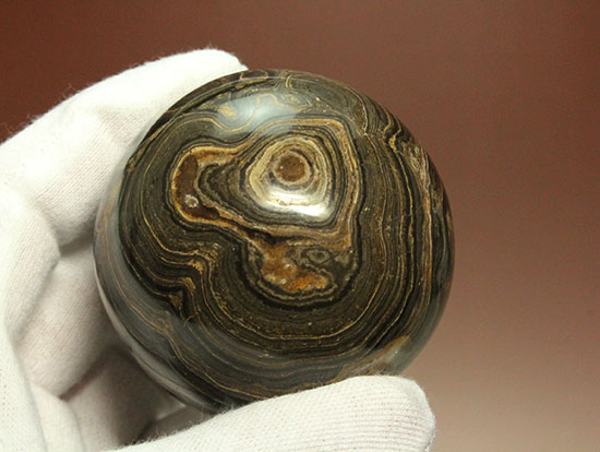 古代地球の大気の歴史を刻んだザ・ミニチュア地球ことストロマトライト(その14)