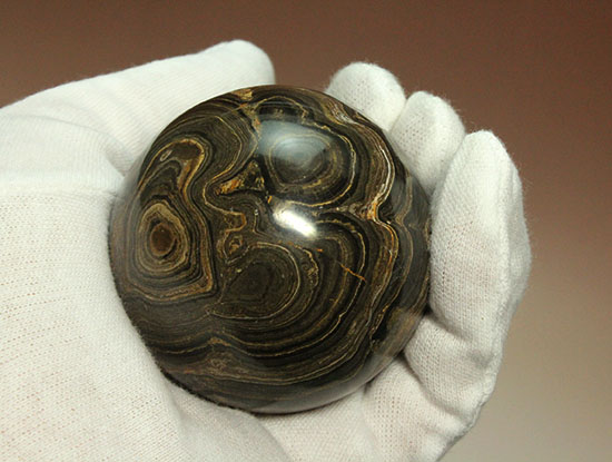 古代地球の大気の歴史を刻んだザ・ミニチュア地球ことストロマトライト(その8)