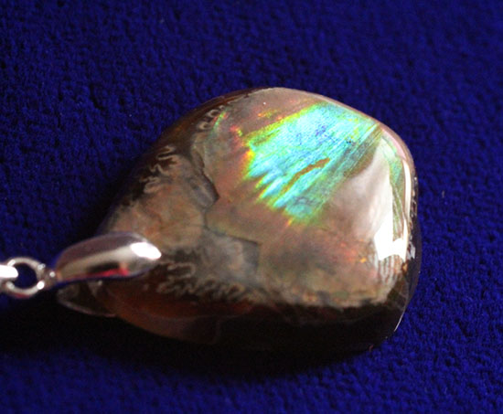 化石ならではの味わい、ハイクラスのイリデッセンス（iridescence）を有するアンモナイトの殻を使ったペンダントトップ3点セット（その10）