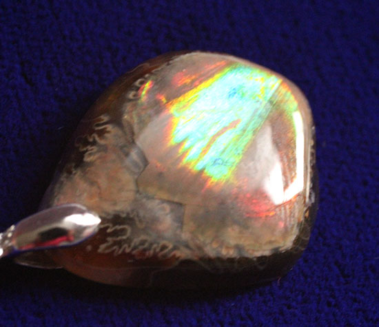 化石ならではの味わい、ハイクラスのイリデッセンス（iridescence）を有するアンモナイトの殻を使ったペンダントトップ3点セット（その11）