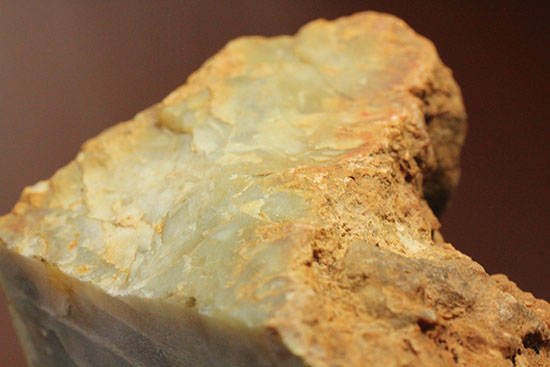 デッカい!恐竜のウンチ化石(coprolite)(その11)