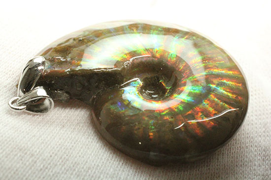 光るアンモナイトを身に着ける！ハイクラスアンモナイトのネックレス