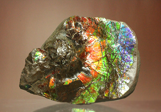 ワールドクラスの輝き！フルスペクトル七色に光るアンモライトピース（Ammolite）（その2）