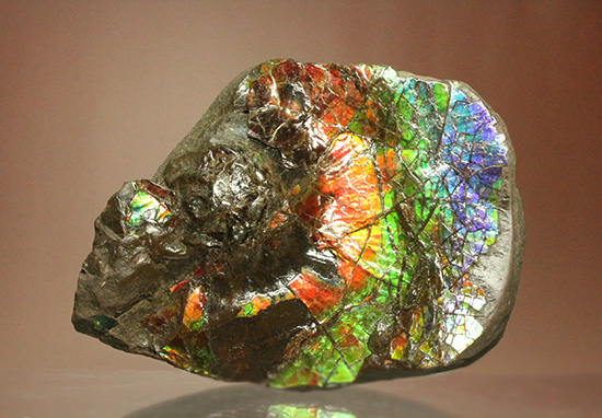 ワールドクラスの輝き！フルスペクトル七色に光るアンモライトピース（Ammolite）（その2）