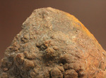 サプライズプレゼントにも！恐竜のウンチ化石コプロライト(Coprolite)
