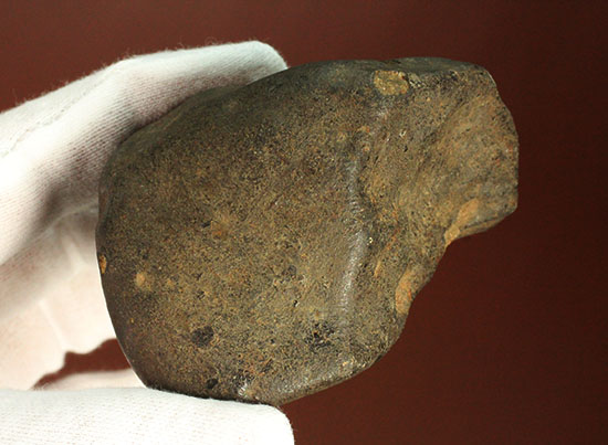 溶融表皮が見事！1985年1月6日に落下したアルゼンチンのラ・クリオラ石質隕石（その1）