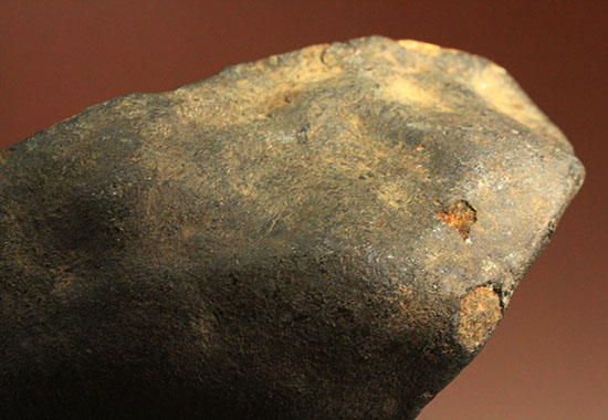 溶融表皮が見事！1985年1月6日に落下したアルゼンチンのラ・クリオラ石質隕石（その11）