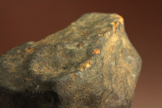 溶融表皮が見事！1985年1月6日に落下したアルゼンチンのラ・クリオラ石質隕石（その12）