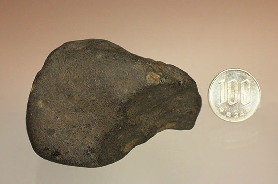 溶融表皮が見事！1985年1月6日に落下したアルゼンチンのラ・クリオラ石質隕石（その14）