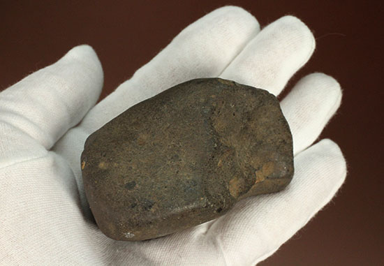 溶融表皮が見事！1985年1月6日に落下したアルゼンチンのラ・クリオラ石質隕石（その2）