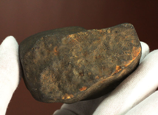 溶融表皮が見事！1985年1月6日に落下したアルゼンチンのラ・クリオラ石質隕石（その4）