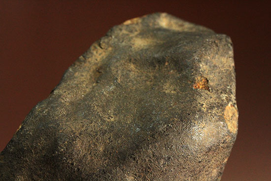 溶融表皮が見事！1985年1月6日に落下したアルゼンチンのラ・クリオラ石質隕石（その5）