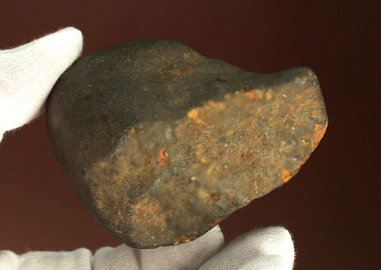 溶融表皮が見事！1985年1月6日に落下したアルゼンチンのラ・クリオラ石質隕石（その6）