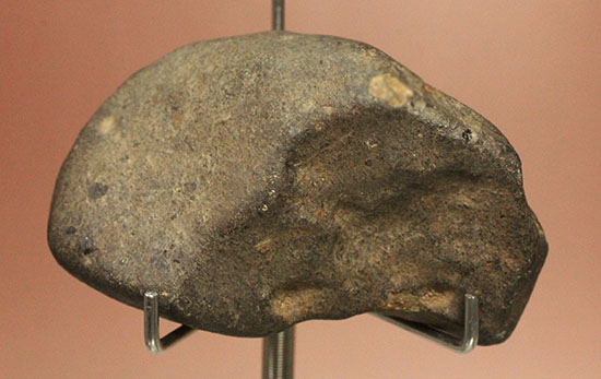 溶融表皮が見事！1985年1月6日に落下したアルゼンチンのラ・クリオラ石質隕石（その8）