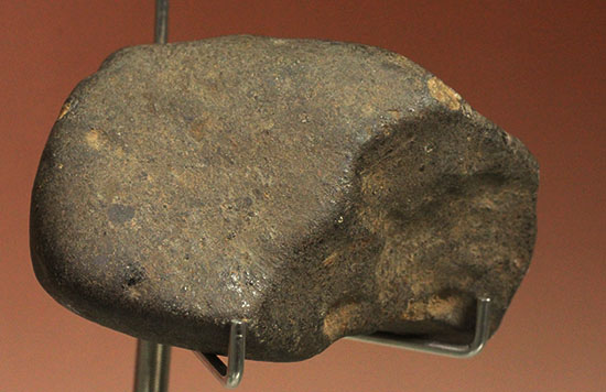 溶融表皮が見事！1985年1月6日に落下したアルゼンチンのラ・クリオラ石質隕石（その9）